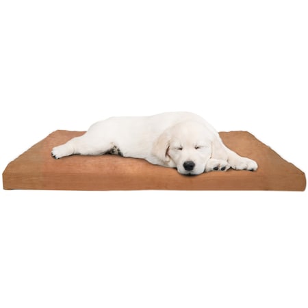 Pet Adobe 3 inch Foam Pet Bed-27x36 inches-Clay 686030WXQ